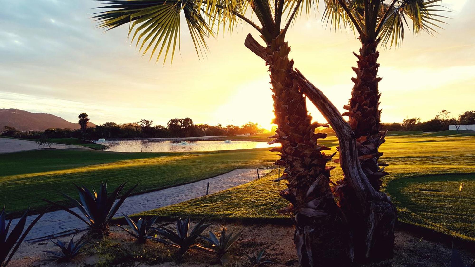 Los Cabos Golf Resort, Trademark Collection By Wyndham Cabo San Lucas Extérieur photo